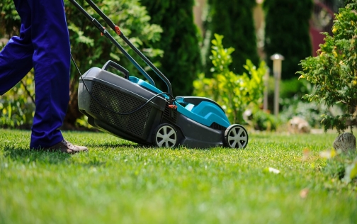 Electric Mower